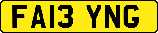 FA13YNG