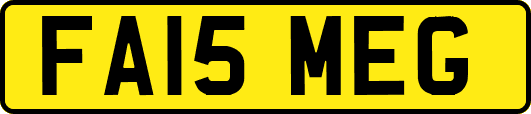 FA15MEG