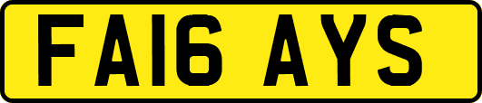 FA16AYS