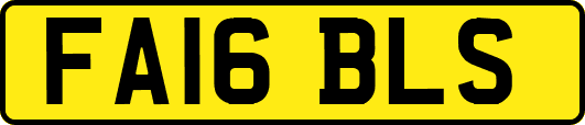 FA16BLS