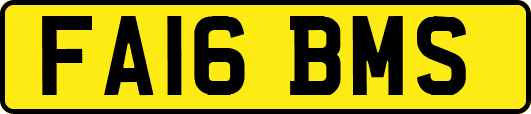 FA16BMS