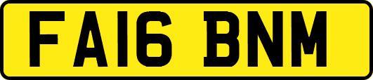 FA16BNM