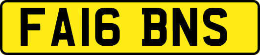 FA16BNS