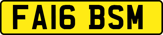 FA16BSM