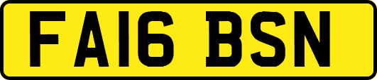 FA16BSN