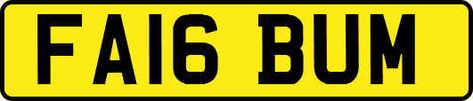 FA16BUM