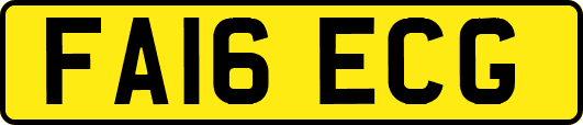 FA16ECG