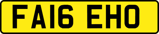 FA16EHO