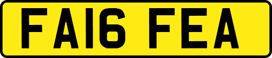FA16FEA