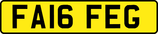 FA16FEG