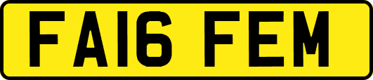FA16FEM
