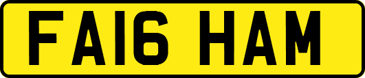 FA16HAM