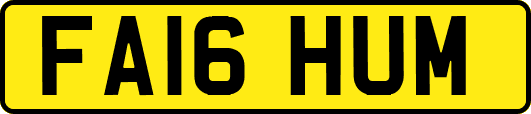 FA16HUM