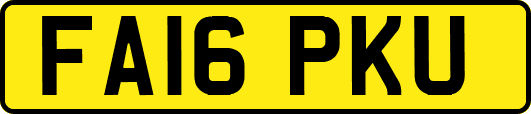 FA16PKU