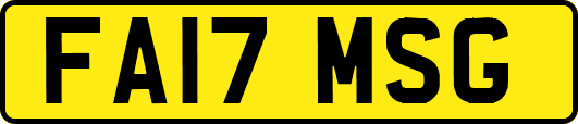 FA17MSG