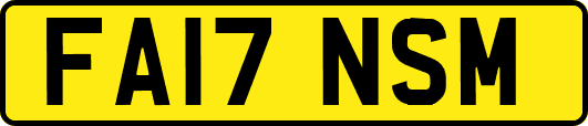 FA17NSM