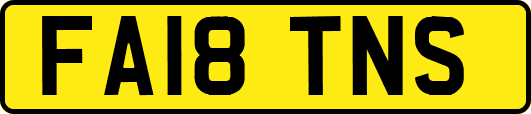 FA18TNS