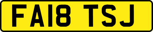 FA18TSJ