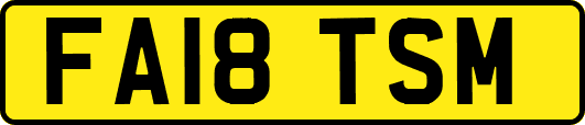 FA18TSM