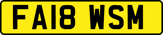 FA18WSM