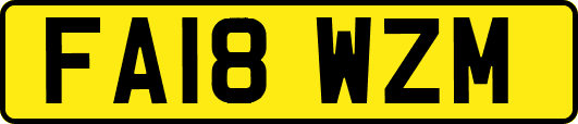 FA18WZM