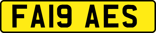 FA19AES
