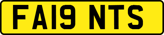 FA19NTS