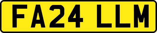 FA24LLM