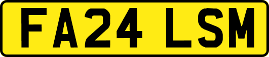 FA24LSM