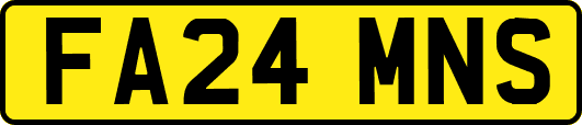 FA24MNS