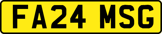 FA24MSG