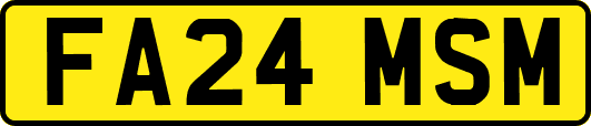 FA24MSM