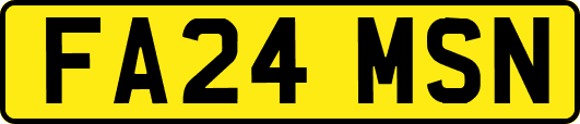 FA24MSN