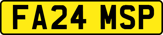 FA24MSP