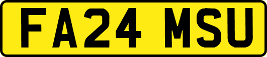 FA24MSU