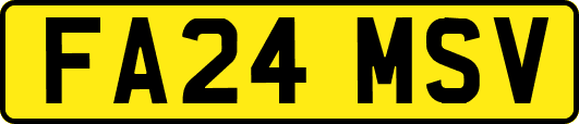 FA24MSV