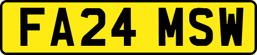 FA24MSW