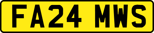 FA24MWS