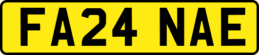 FA24NAE
