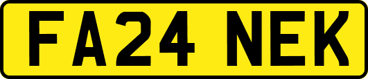 FA24NEK