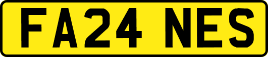 FA24NES