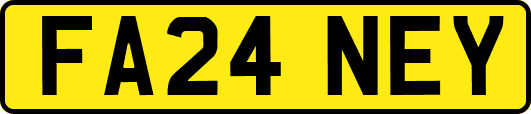 FA24NEY