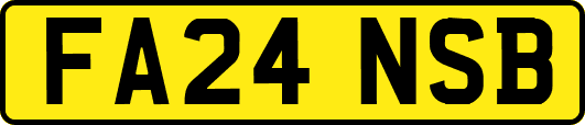 FA24NSB