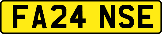 FA24NSE