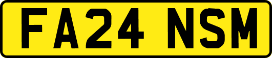FA24NSM
