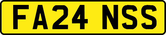 FA24NSS