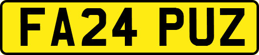 FA24PUZ