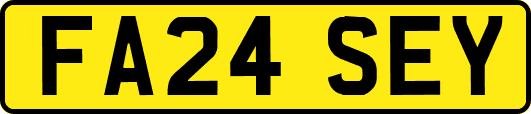 FA24SEY