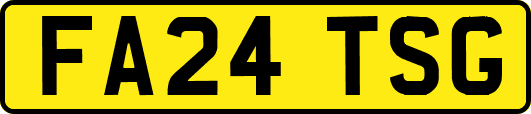 FA24TSG
