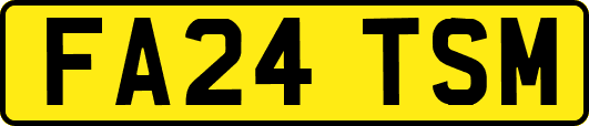 FA24TSM